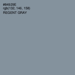 #84929E - Regent Gray Color Image